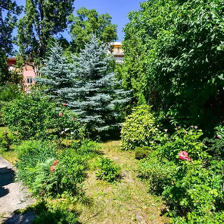 Apartmán Romantic On The Hillside Budapešť