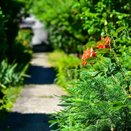 Romantic On The Hillside Apartmán *